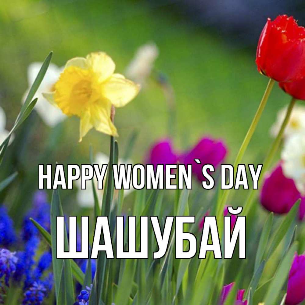 Greetings card с именем, ШАШУБАЙ happy women`s day международный женский день 3 Greetings with text for free download 